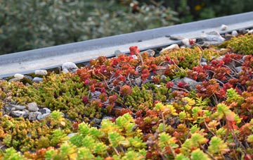 the cost of Loanend green roof installation