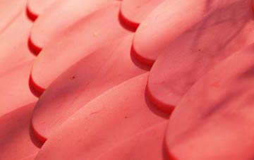 Loanend plastic roof costs